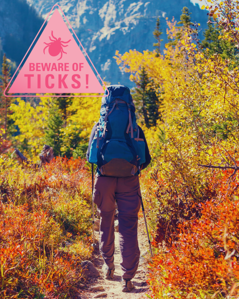 A photo depicting the back of a hiker on a trail, with a warning graphic that reads "Beware of Ticks!" in the upper right.