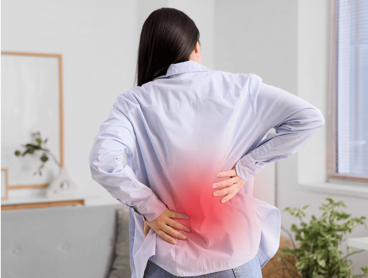 Low Back Pain